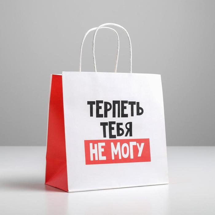 Пакет подарочный «Терпеть тебя не могу», 22 х 22 х 11 см